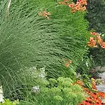 Mit Pool An Der Apfelstrasse * Puch bei Weiz