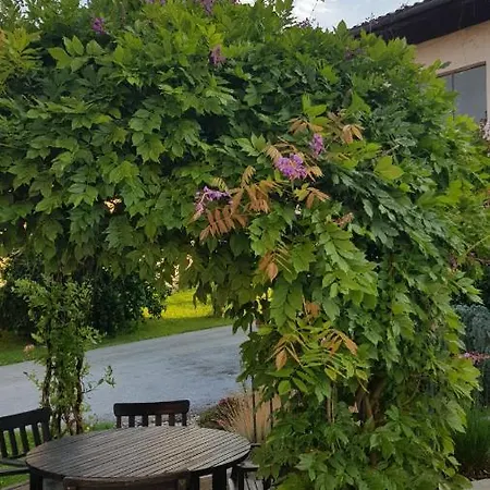 Mit Pool An Der Apfelstrasse