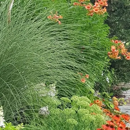 Mit Pool An Der Apfelstrasse * Puch bei Weiz