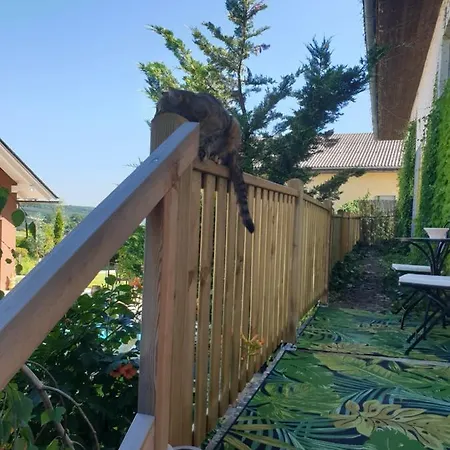 Apartman Mit Pool An Der Apfelstrasse Puch bei Weiz