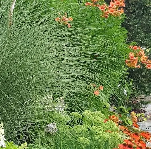 Mit Pool An Der Apfelstrasse * Puch bei Weiz