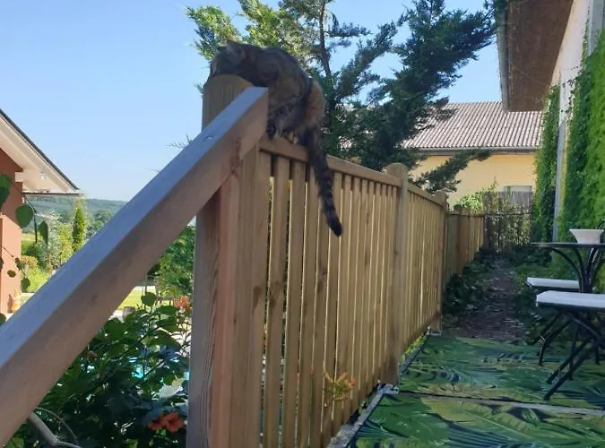 Apartment Mit Pool An Der Apfelstrasse Puch bei Weiz